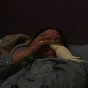 Meet your Posher, Debbie